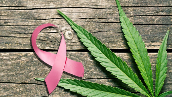 THC versus cáncer de mama