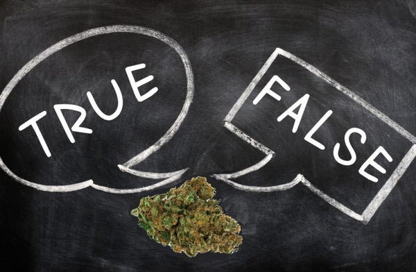 5 falsos mitos sobre el consumo de marihuana