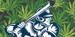 Las Grandes Ligas (MLB) elimina al cannabis de las sustancias prohibidas en el béisbol