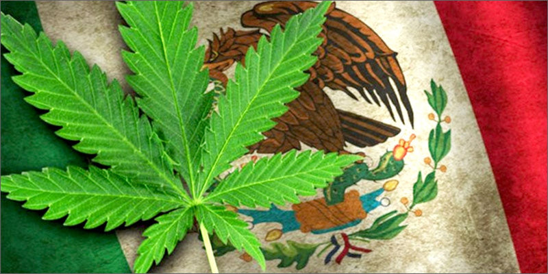 mexico legalización cannabis