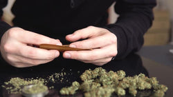 Plantean Establecer En 23 Años La Edad Mínima Para Consumir Cannabis En México