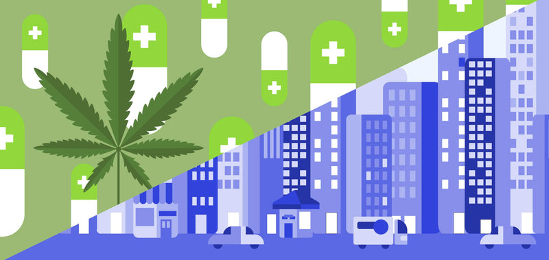 Industria del cannabis, una posible vía para reactivar la economía tras contingencia