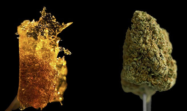 Cogollos vs extractos ¿cuál es el futuro de la marihuana?